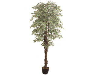 Planta artificial FICUS 2.40m
